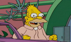 Kita serija - Simpsonai 15 sezonas 18 serija
