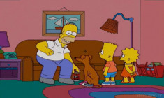 Ankstesnė serija - Simpsonai 17 sezonas 15 serija