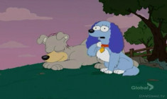 Ankstesnė serija - Simpsonai 19 sezonas 12 serija