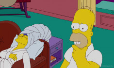 Ankstesnė serija - Simpsonai 20 sezonas 18 serija