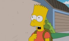 Ankstesnė serija - Simpsonai 27 sezonas 12 serija