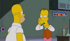 Ankstesnė serija - Simpsonai 27 sezonas 13 serija