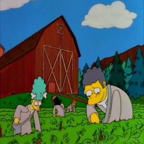 Simpsonu 9 Sezonas 13 serija, Lietuvių kalba